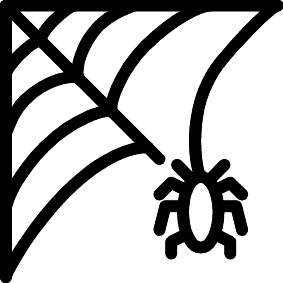 Spinnennetz